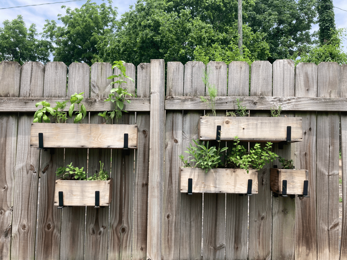 Herb garden on fence